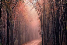 最新NBA总得分排行榜有哪些变化？谁在冲击历史巅峰？